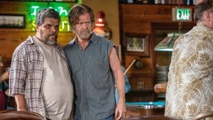 Shameless – Nicht ganz nüchtern: 10×3