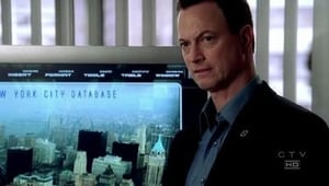 CSI: NY: 2×20