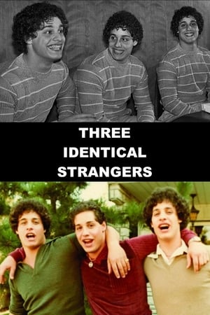 Watch Three Identical Strangers (2018) Full Movie Online 