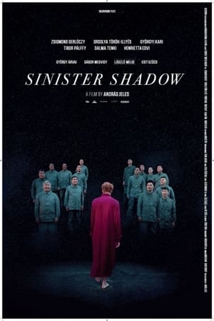 Poster Sinister Shadow (2018)