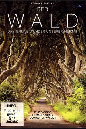 Póster oficial de la película Der Wald - Das gruene Wunder unserer Heimat
