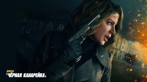 Images posters