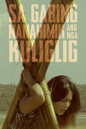 Sa Gabing Nanahimik Ang Mga Kuliglig
