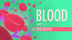Crash Course Anatomy & Physiology Blood, Part 1 - True Blood
