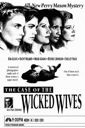 Poster Perry Mason: The Case of the Wicked Wives 1993