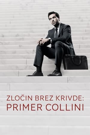 The Collini Case 30