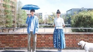 Images posters