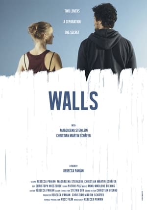 Walls (2015) pelicula completa subtitulada en español