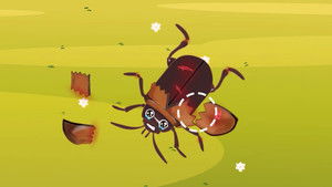 Episode 17 | StreamHub