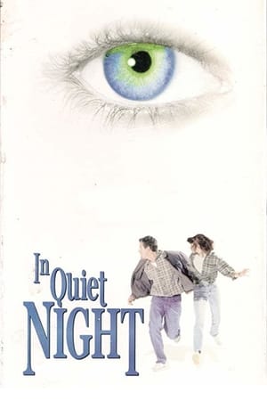 Poster 寂静的夜 1998