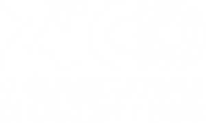 Zico: O Samurai de Quintino