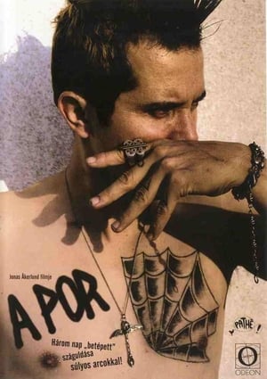 Poster A por 2003