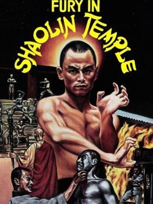 Fury in Shaolin Temple poster