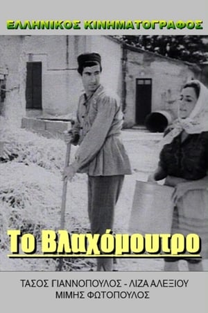 Πράκτωρ Κίτσος καλεί Γαστούνη poster