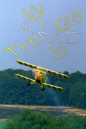 Wings and Things