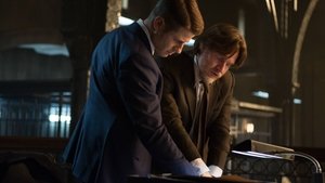 Gotham: Season 1 Episode 15 – The Scarecrow