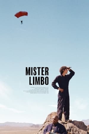 Poster Mister Limbo 2021