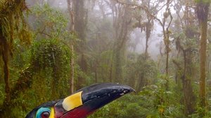 Ecuador: On the Wild Side S1E1