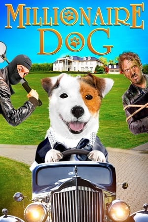 Poster Millionaire Dog 2014