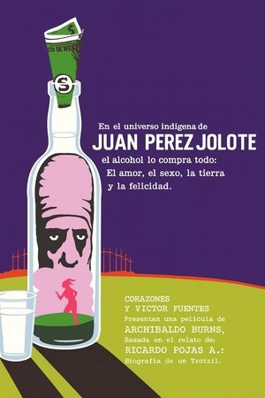 Juan, the Chamula