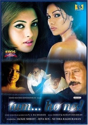 Poster Tum... Ho Na! 2005