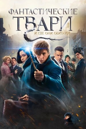 Poster Фантастические твари и где они обитают 2016