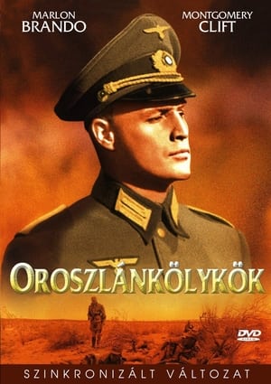 Image Oroszlánkölykök