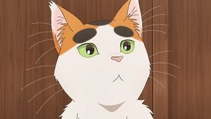 Tonari no Yokai-san Episódio 10