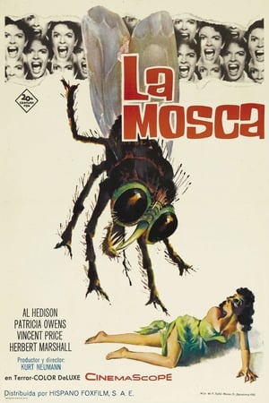 Poster La mosca 1958