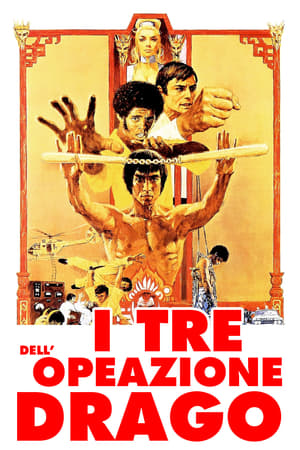 Poster di I 3 dell'Operazione Drago