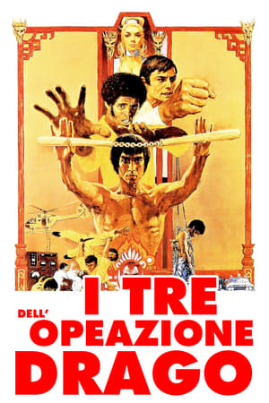 Poster I 3 dell'Operazione Drago 1973