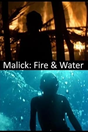 Poster Malick: Fire & Water 2013