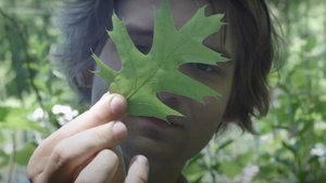 Friends of Mine: “Appreciating Nature” film complet