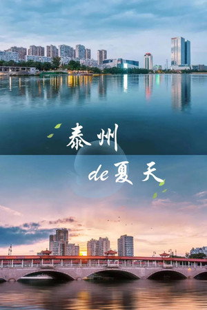 夏天的风封面图