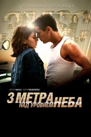 Три метра над уровнем неба 2010