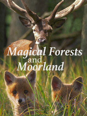 Magical Forests and Moorland