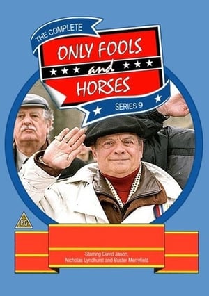 Only Fools and Horses: Series 9