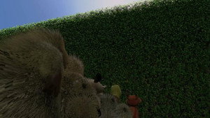 Over the Hedge 61