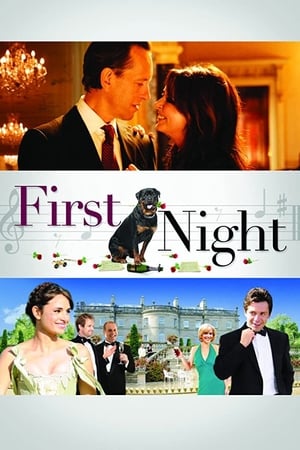 Poster First Night 2010