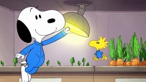 Snoopy en el espacio: 1×5