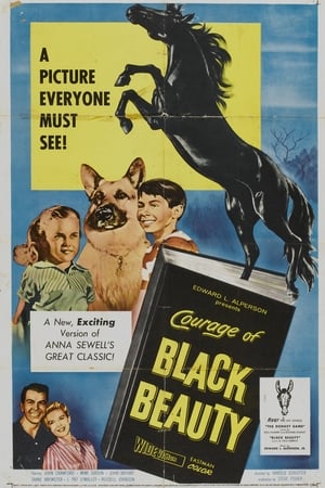 Poster Courage of Black Beauty 1957
