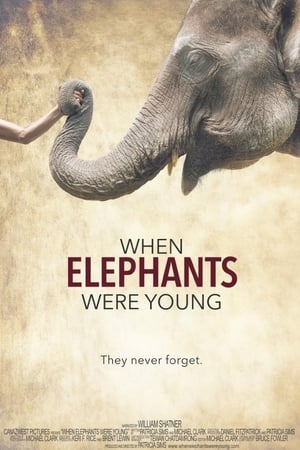 Image When Elephants Were Young