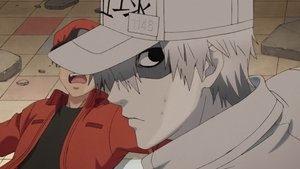 Hataraku Saibou (TV) Episodio 2