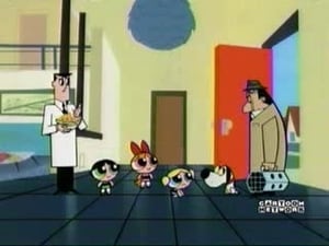 Powerpuff Girls: 5×5