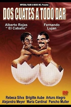 Poster Dos cuates a todo dar (1990)