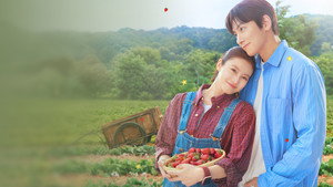 Amor Doce Amor (2026)