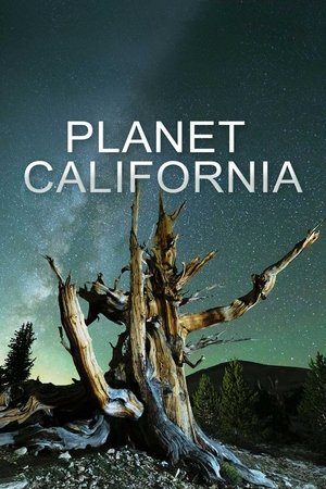 Poster Planet California 2022