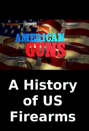 American Guns A History of US Firearms