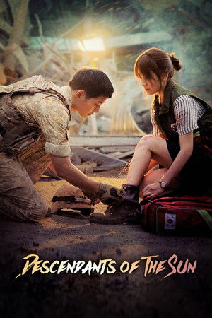 Descendants of the Sun (2016) Hindi Dubbed Season 1