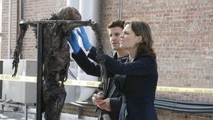 Bones 2 – Episodio 11